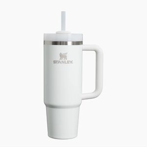Stanley Quencher H2.O Tumbler 30 OZ in Frost